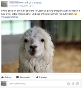 Exemple de participation au jeu concours du Camélus