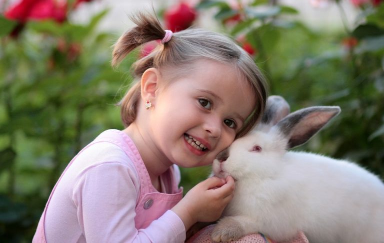 Enfant avec les animaux