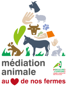 médiation animale au camélus