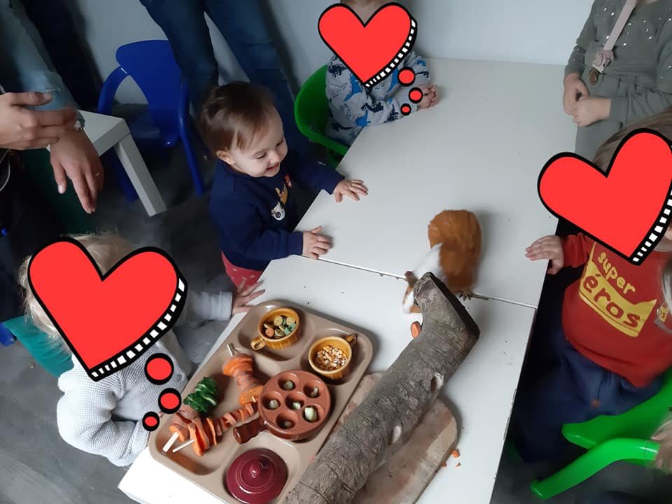 Un tout-petit nourrit les animaux de la ferme avec un adulte